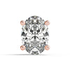 Load image into Gallery viewer, Prong Head MF117-.25
